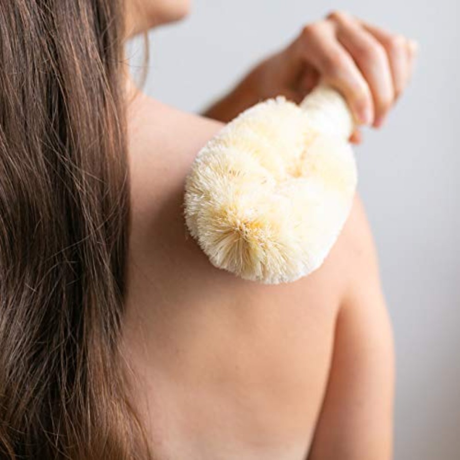 그란내추럴스 바스 앤 샤워 드라이 스킨 앤 바디 시살  - Dry Brush Body 리뷰 및 가격